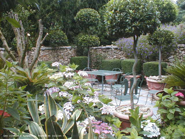 La terrasse du jardin méditerranéen