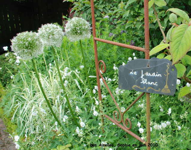 Le jardin blanc aux Airelles