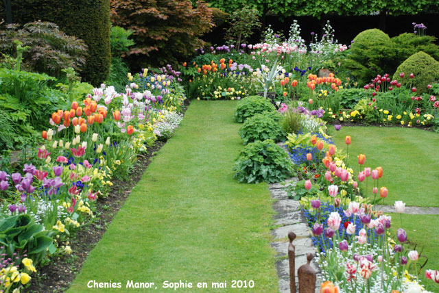 Chenies Manor: les tulipes