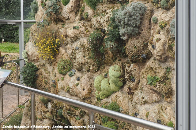 mur de tuff au jardin botanique d'Edimbourg