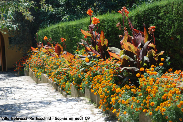 Villa Ephrussi-Rothschild: escalier orange