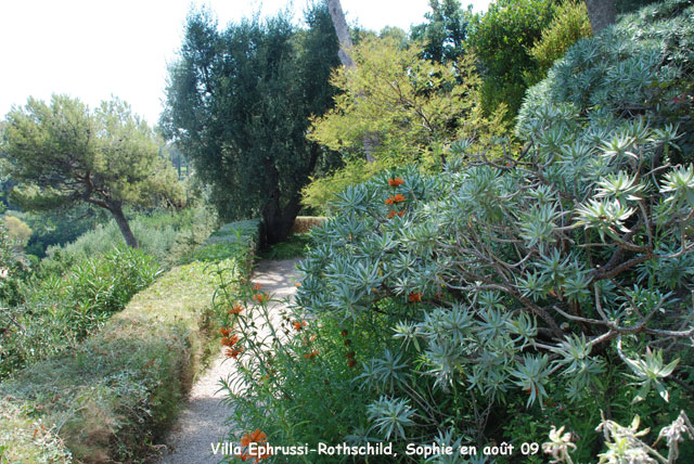 Villa Ephrussi-Rothschild: provençal