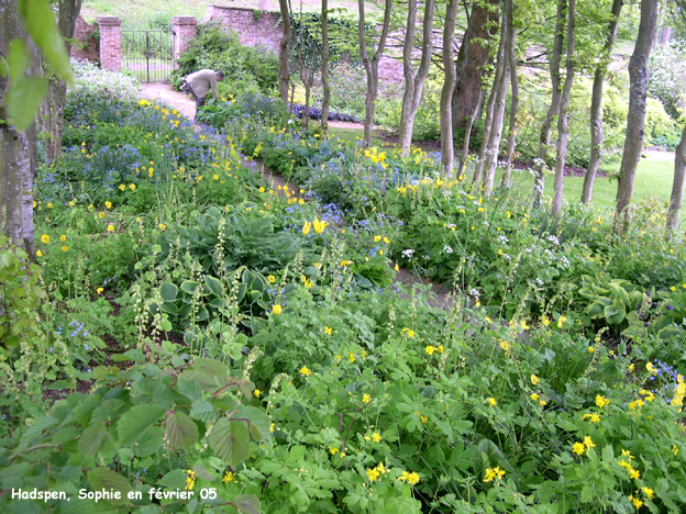 Hadspen: jardin jaune