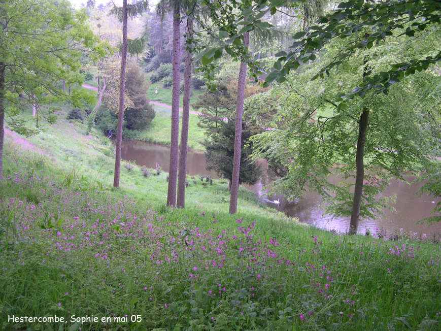 Hestercombe : le bois
