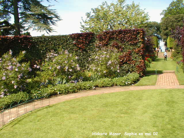 Hidcote: white garden