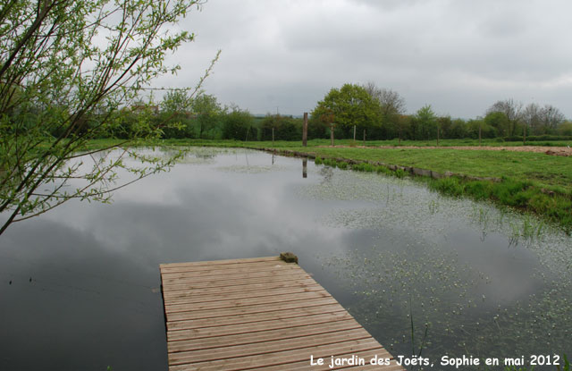 Jardin des Joëts: étang