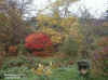 arboretum lenoir