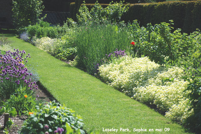 loseley: potager