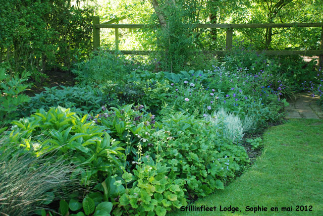 Stillingfleet: détail du jardin au poirier