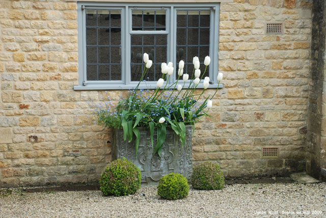 bac de fleurs à l'entrée d' Upton Wold