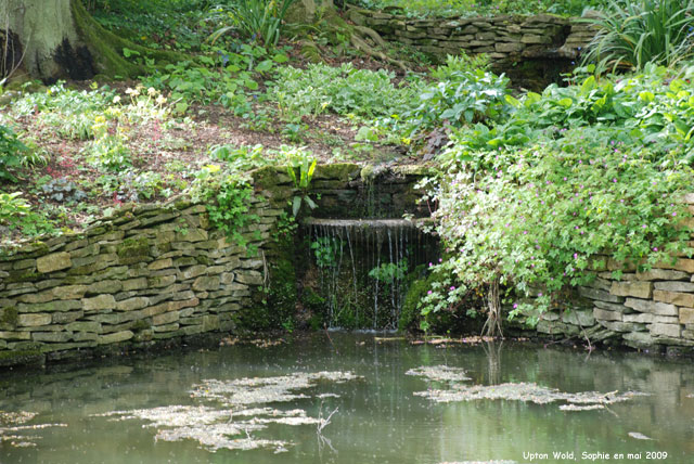 bassin à Upton Wold