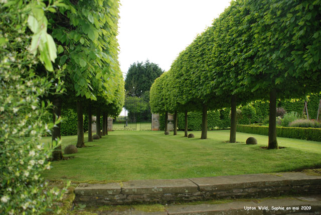  les charmes à Upton Wold