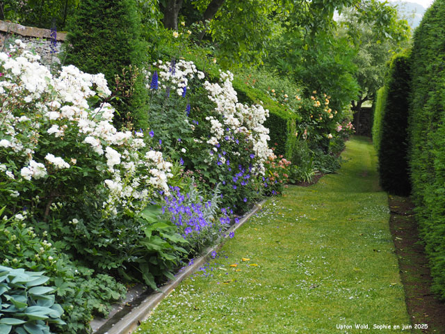 upton Wold