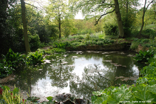 bassin à Upton Wold
