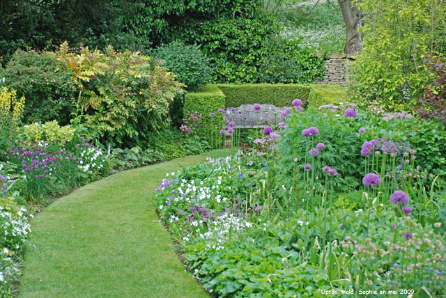 massif mauve à Upton Wold