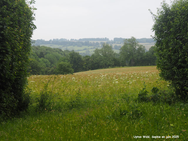 Le paysage vu d'Upton Wold
