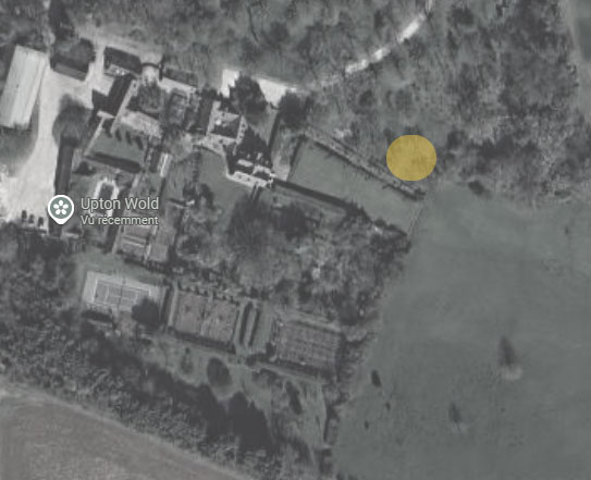 Plan de la prairie aux marguerites à Upton Wold