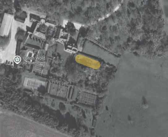 Plan de la prairie aux marguerites à Upton Wold