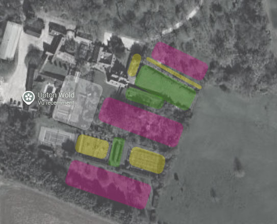 Plan de la prairie aux marguerites à Upton Wold