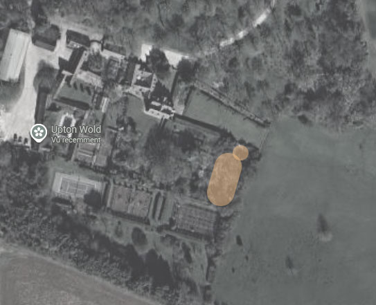 Plan de la prairie aux marguerites à Upton Wold