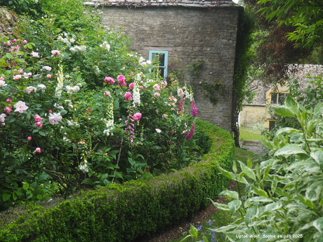 Sentier fleuri à Upton Wold