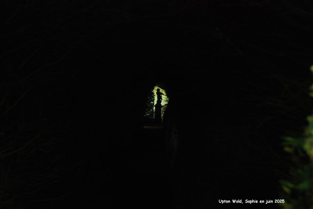 tunnel à 'Upton Wold