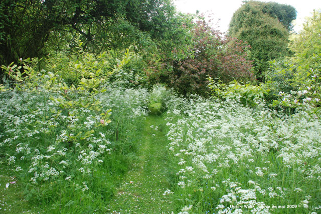 verger à Upton Wold