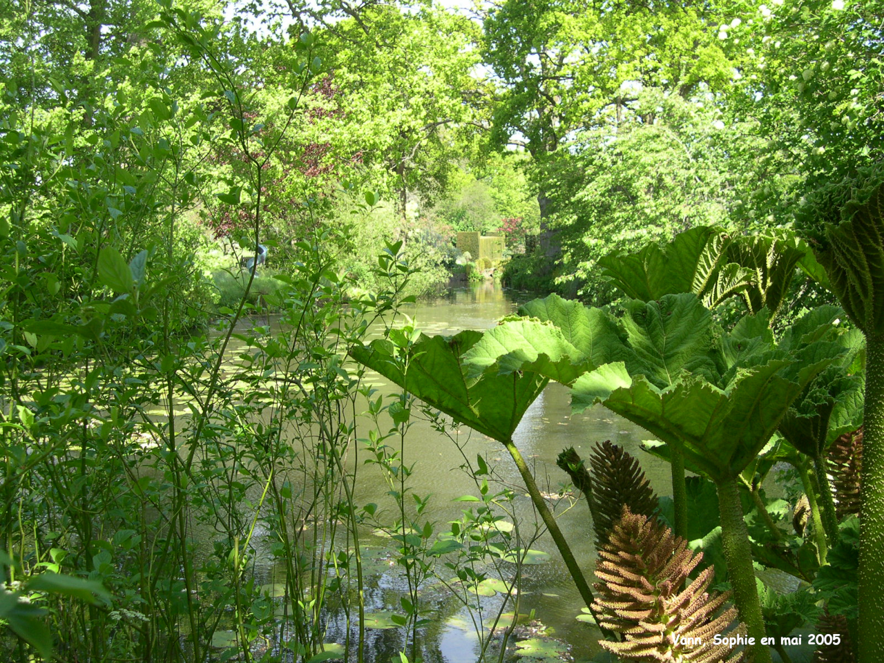 Vann: jardin d'eau