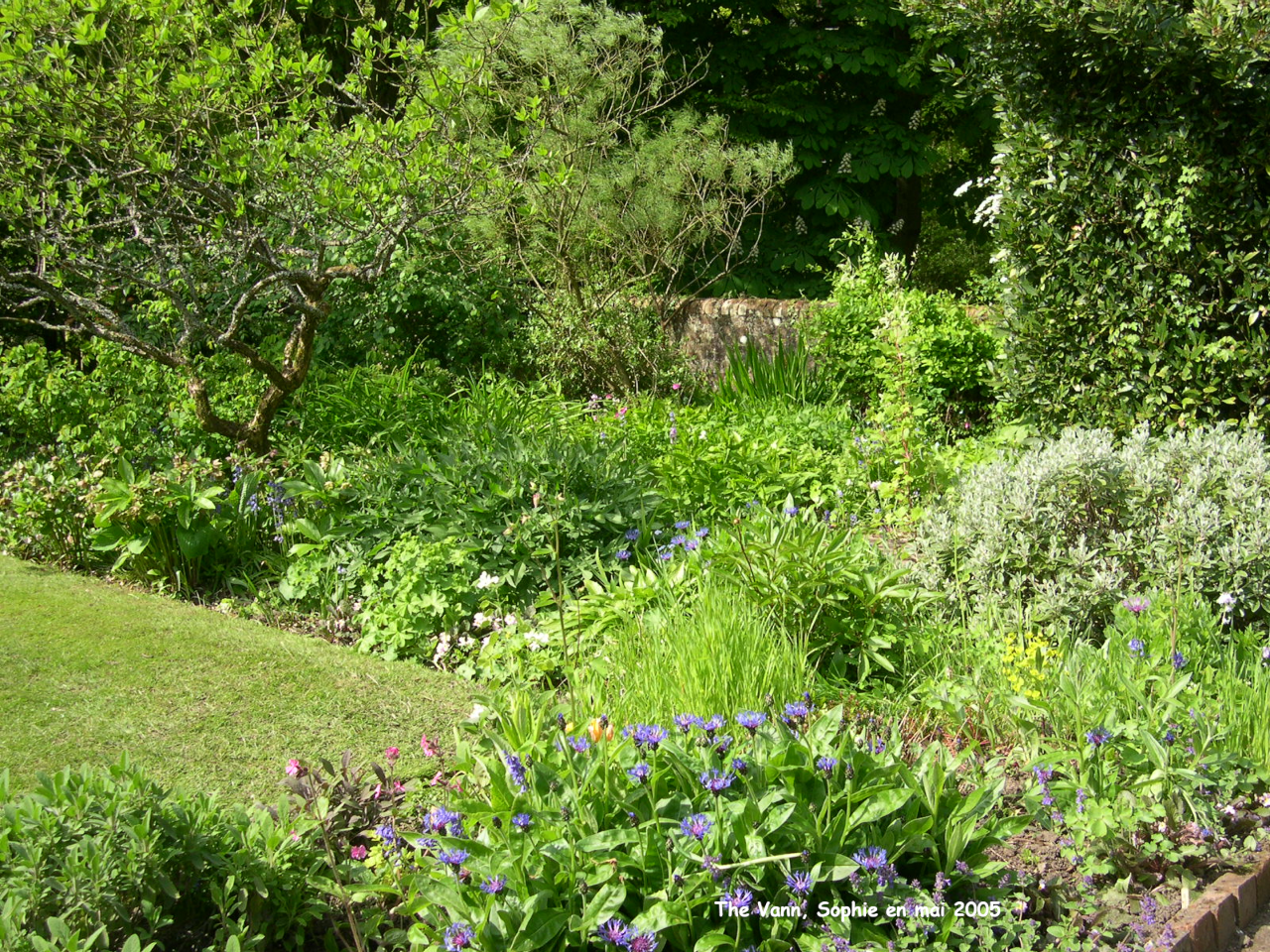 Vann: le vieux jardin