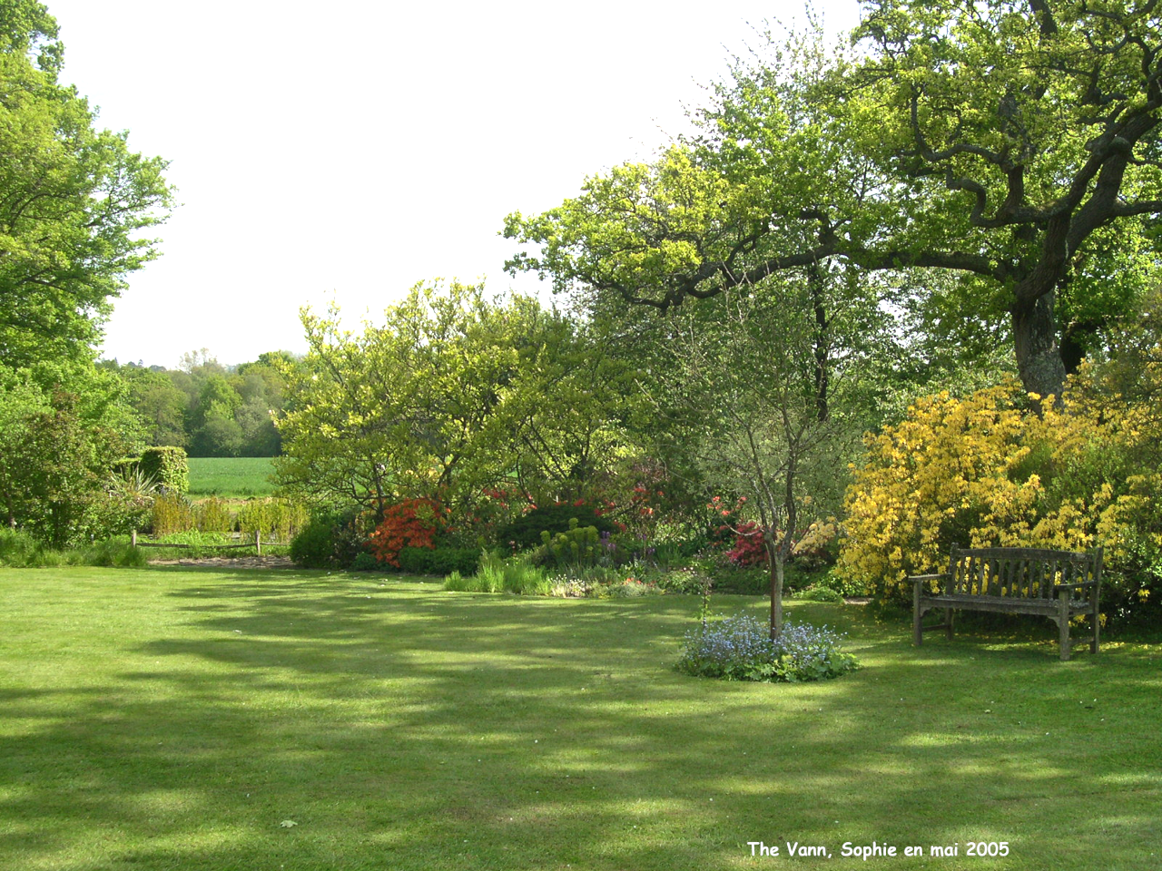 Vann: la grande pelouse