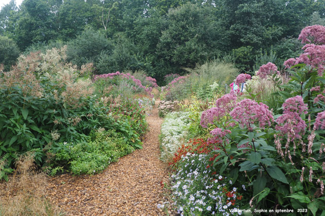 Haies à l'entrée Vlindertuin