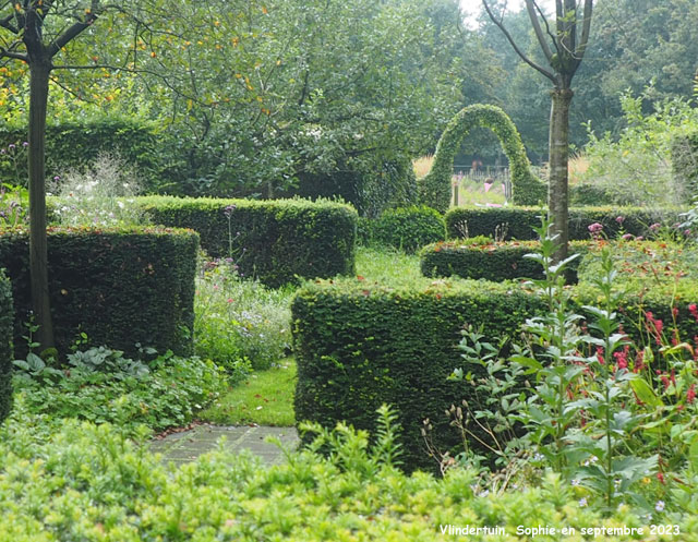 arche taillée de charmes