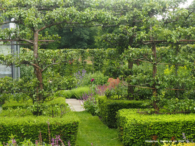 Vlindertuin: fruitiers palissés