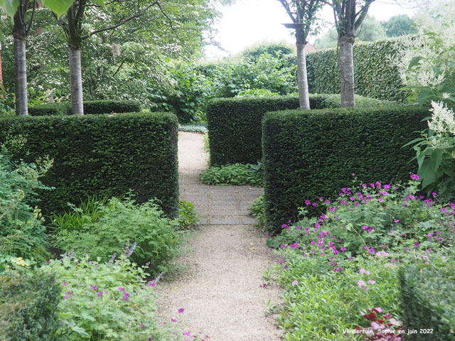 Haies à l'entrée Vlindertuin