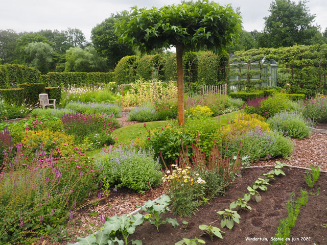 Légumes et fleurs à Vlindertuin