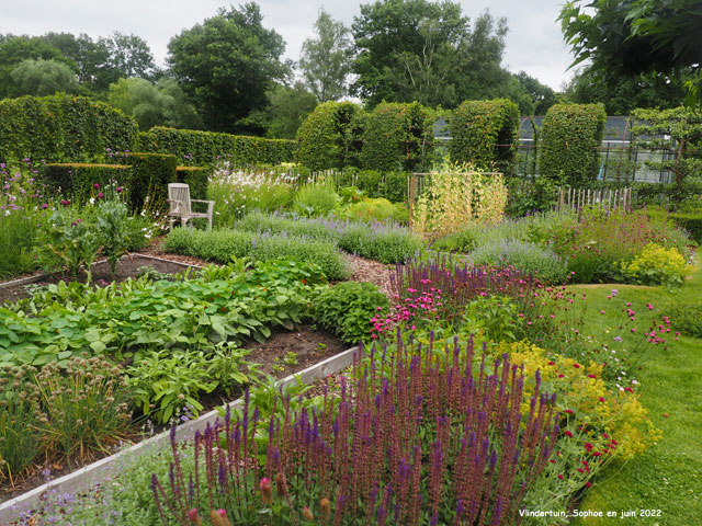 carrés de légumes à Vlindertuin