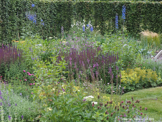 Vlindertuin: massif fleuri