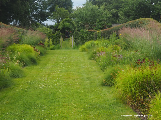 les grands mixed-borders à Vlindertuin