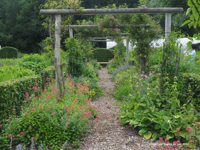 Pergola de roses à Vlindertuin