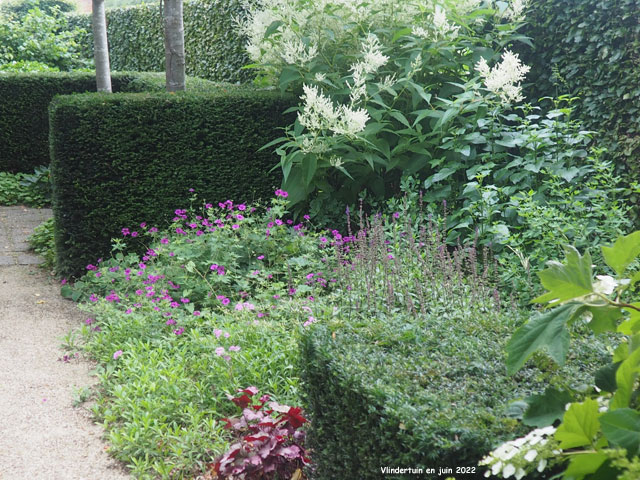 Plantations à l'entrée de Vlindertuin
