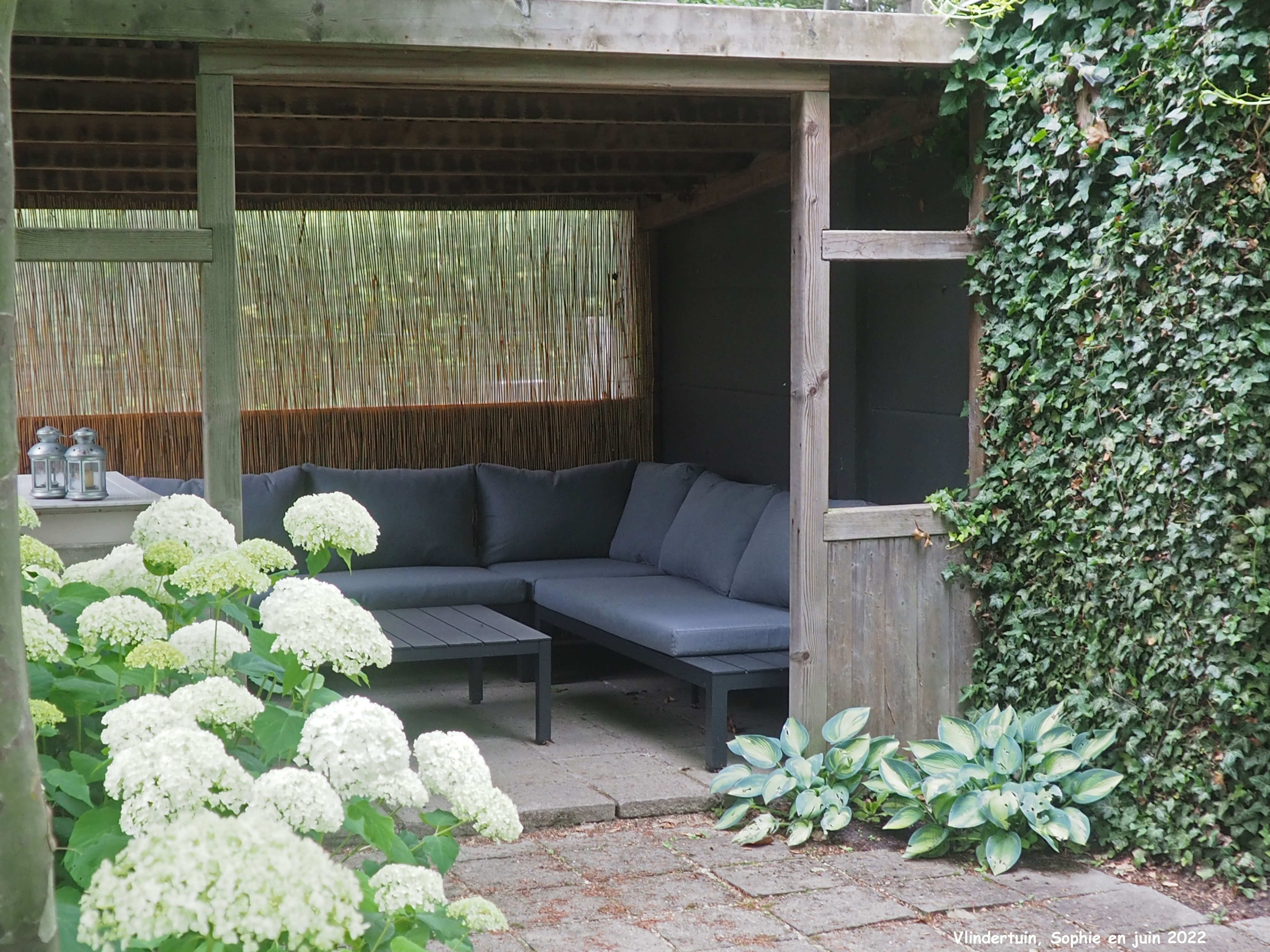 Vlindertuin: terrasse abritée