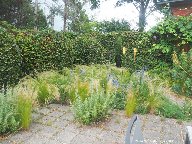 Jardin sec à Vlindertuin