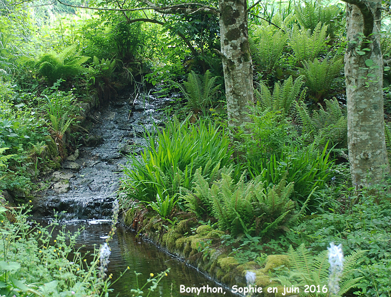 le ruisseau à Bonhyton