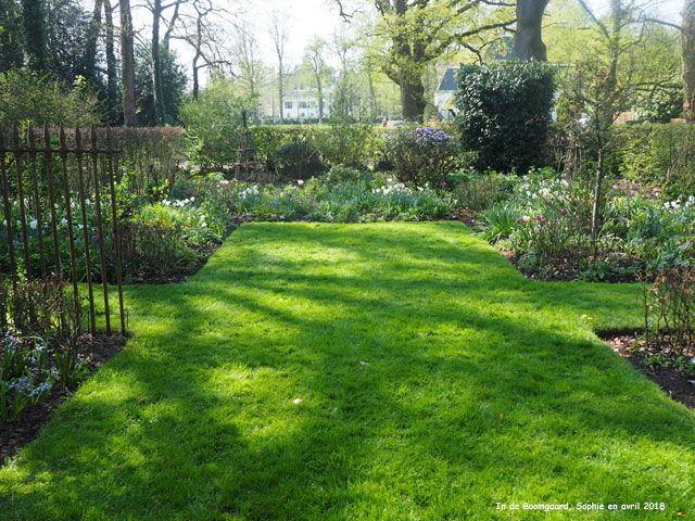 Boomgaard: le jardin pourpre en été