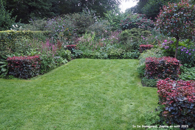 Boomgaard: le jardin pourpre