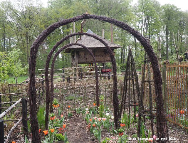 Boomgaard: le jardin des annuelles