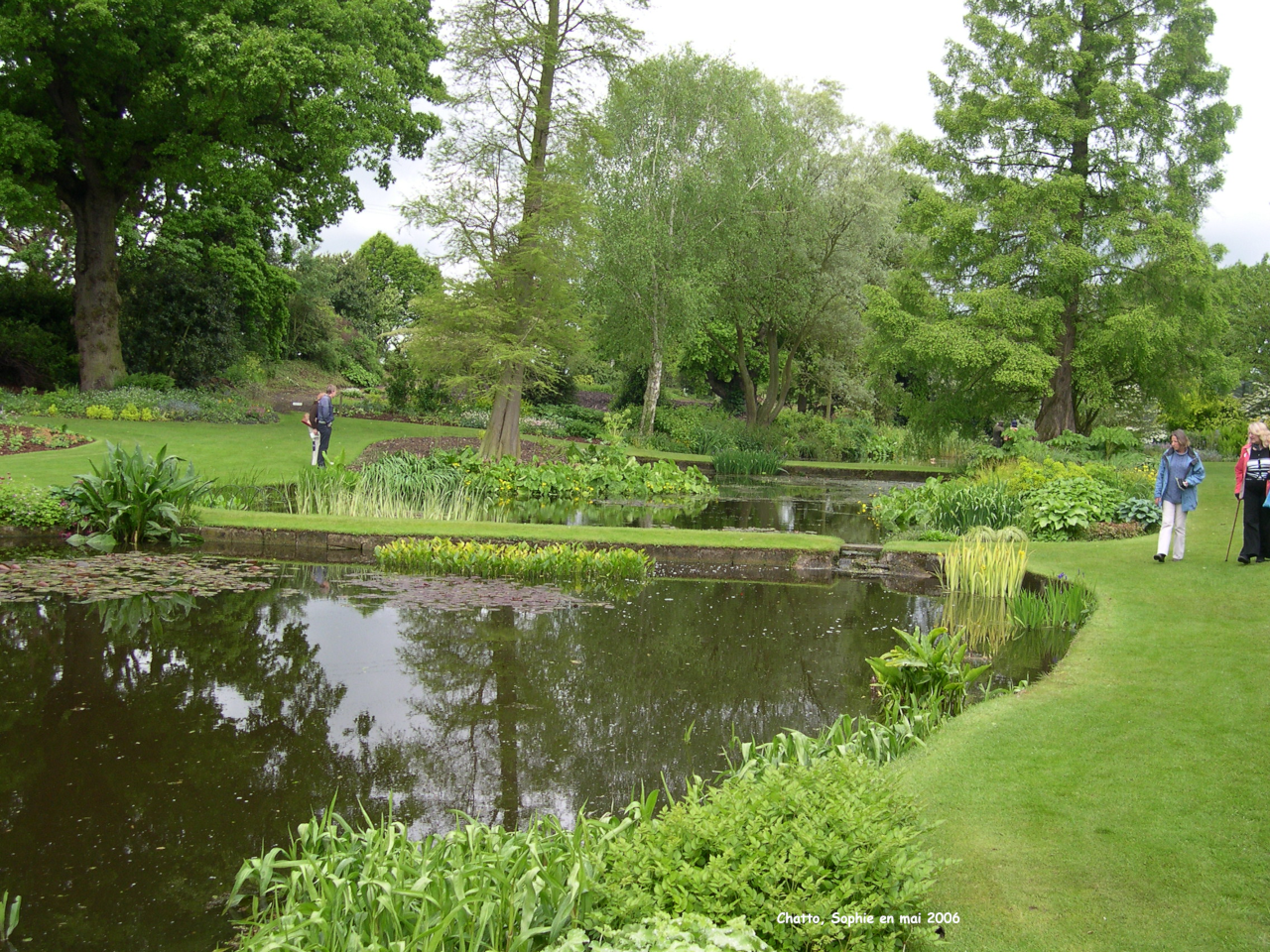 Beth Chatto: bordure des bassins
