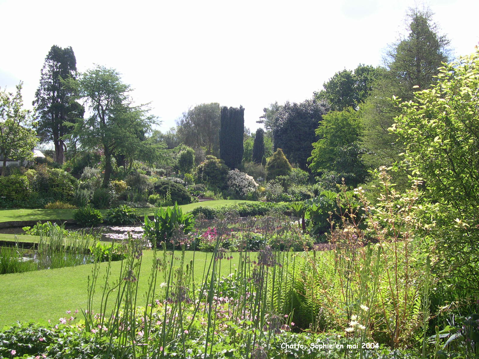 Beth Chatto: jardins d'eau