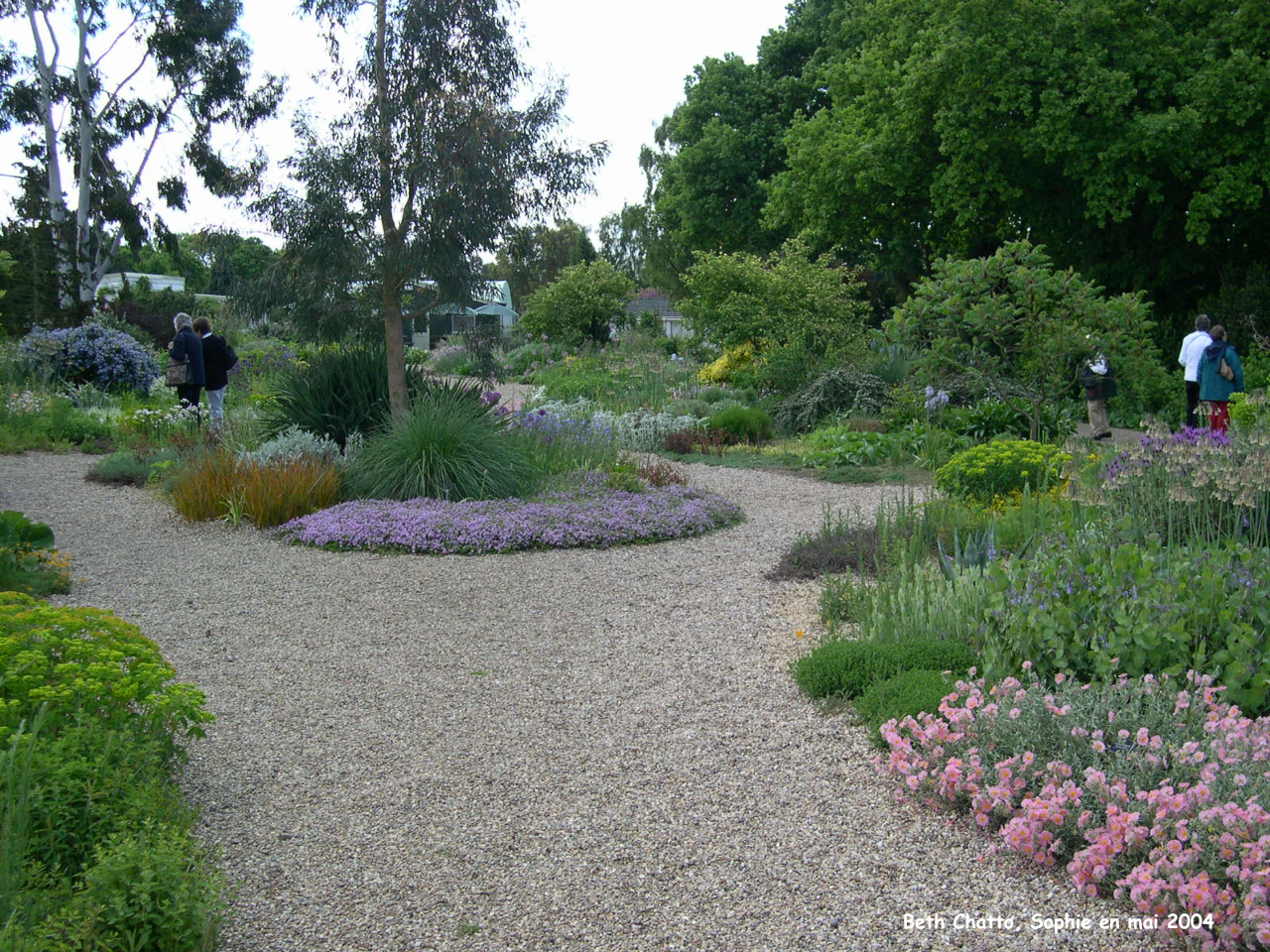 Beth Chatto: vue d'ensemble du jardin sec