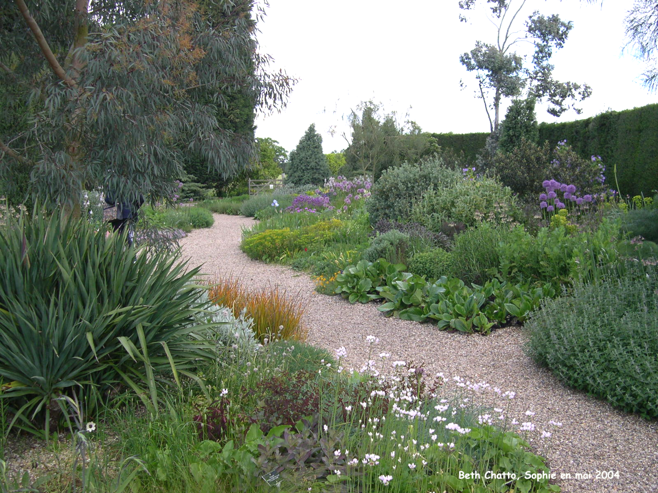 Beth Chatto: allée principale du gravel garden